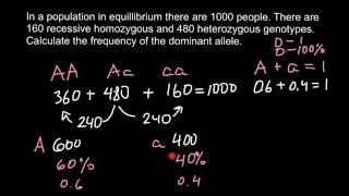 How to calculate allele frequency [upl. by Irfan]