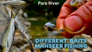 Mahseer Traps😯 Different Baits Rainy Season Mahseer Bait Fishing [upl. by Kimmy]