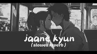 Jaane Kyun  Tanveer Evan  Slowed  Reverb  Mir Fazly Rabby [upl. by Anilef133]