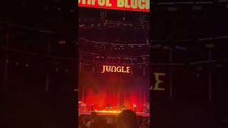 Jungle  Casio  Life is Beautiful 2024 [upl. by Divd]