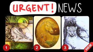 Some Urgent News From Your Spirit Guides✨🤩🃏🔑✨ pick a card reading 🃏 tarot card reading [upl. by Eirb89]