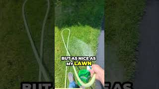 Does Sunday Fertilizer Actually Work review lawn lawncare howto diy [upl. by Pirnot]