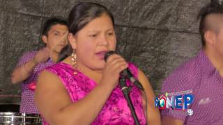 RAYITOS DE LAS HUARINGAS ►MUJER SACA VUELTA ☆ PRIMICIA 2017 ☆ ✓ ♫ ☛ RONEP Producciones [upl. by Eenerb347]