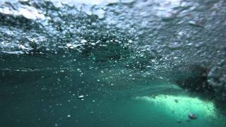 The Atlantic Shelfbreak Using robotic vehicles to observe ocean life [upl. by Chi]