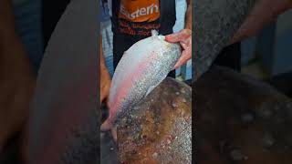 hilsa fish cutting skills sagar fish Bangalore hoodi [upl. by Hakan181]