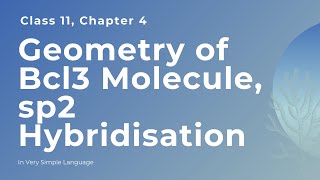 Geometry of Bcl3 Molecule sp2 Hybridisation Class 11 [upl. by Denn364]