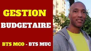 BTS MCO  BTS MUC Gestion  La Gestion Budgétaire  Budget des achats charges  investissements [upl. by Dnomso]