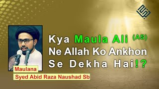 Kya Imam Ali as ne Allah ko Dekha hai  Maulana Abid Raza Naushad sb Najah Media [upl. by Champaigne]