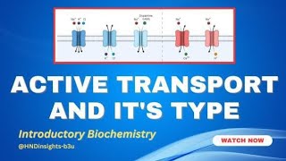 Active transport and its typeprimary active transportsecondary active transport [upl. by Assilanna792]