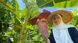 SEDAP BETUL JANTUNG PISANG MASAK MACAM NI  Banana flower recipe [upl. by Anyk]