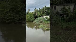 Kollakadavu  Scenery  Kerala [upl. by Nosnirb968]