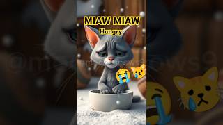 Miaw Miaw Hungry and sad 😿😿😿 miawmiaw catadventure catvideo catlover [upl. by Ainav998]