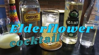 Easy Gin Cocktails  Make an Elderflower Cocktail [upl. by Muna]