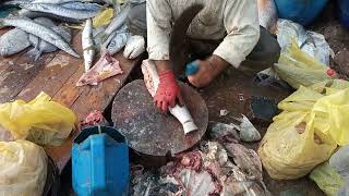 Indian Salmon Rawas fish cutting [upl. by Dickenson]