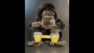 2001 Gemmy Bongo Gorilla Animated Plush Sings “Bang The Drums All Day” [upl. by Culbertson819]