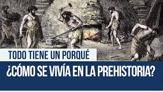 Cómo se vivía en la prehistoria  Todo tiene un porqué [upl. by Sigismondo]