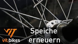 Wie erneuere ich eine Speiche  vitbikesTV 219 [upl. by Elnukeda]