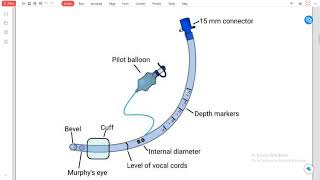 tracheal tube [upl. by Bedell113]