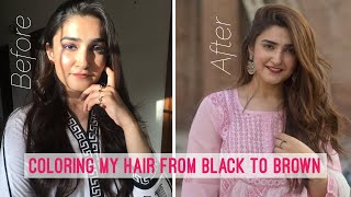 HOW I DYE MY HAIR  LIGHT ASH BROWN AT HOME [upl. by Ahsai]