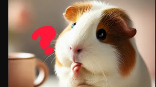 5 Curiosidades sobre cuyos 🐹cuyos [upl. by Biddle]