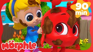 Mila Gives Muddy Morphle a Bath 🧼🫧  Cartoons for Kids  Mila and Morphle [upl. by Jarrett969]