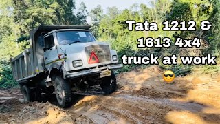 Tata 1212 4x4 TC and Tata 1613 4x4 tipper at work  Northeast India [upl. by Keene]