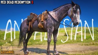 The Bravest Horse I Rode in Red Dead Redemption 2  Rose Grey Andalusian  RDR2  PS4 Slim [upl. by Sybille]