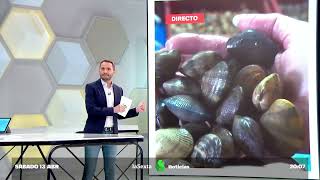 Se desploman las capturas de las mariscadoras de Galicia en laSexta Noticias [upl. by Ireva]