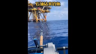 戶外釣魚：漁民在深海石油鑽井平臺使用電絞輪釣獲巨型石斑 船釣 釣魚 [upl. by Odab355]