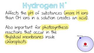 Inorganic Ions  Quick A Level Biology Revision [upl. by Enalda]