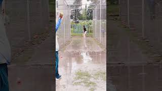 Off Cutter Sidearm Ball Confuse Batsman  Practice with Sidearm cricket viral shorts shortvideo [upl. by Alil]