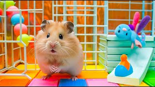 Hamster Escape Battling Wild Animals in the Forest Maze 🐹 Hamster Maze [upl. by Felicie553]