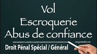 Les infractions contre les biens Droit Pénal Spécial  Général [upl. by Leeann]