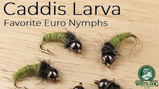 Caddis Larva Euro Nymph  Favorite Euro Nymphs  Fly Tying [upl. by Ahseem]