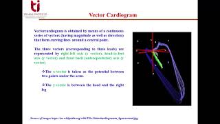 Lecture 72 Vector cardiography [upl. by Maleki446]