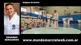 TaekwonDo Exámenes en PyongAhn [upl. by Brita]