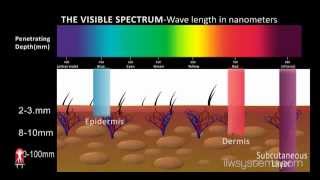 LED Light Therapy Animation [upl. by Naugal]