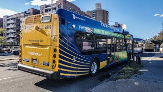 2022 XD40s2021 XDE40 9519 Buses near Ulmer Park depot [upl. by Darrey]