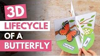 How To Make A 3D Model of Life Cycle Of A Butterfly [upl. by Attwood]