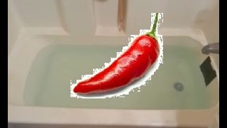 Dont use cayenne pepper in the bath if you dont want to [upl. by Rhonda416]