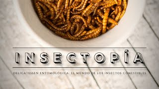 INSECTOPÍA 🟤  El Mundo de los Insectos Comestibles ¿son realmente la comida del futuro [upl. by Pegasus]