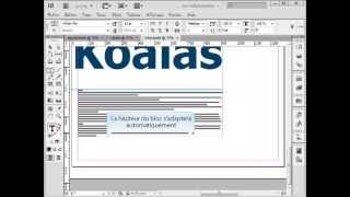 Ajustement automatique de la hauteur dun bloc texte dans Indesign [upl. by Asiulairam809]