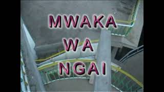 Mwaka by Nancy Mugure sms SKIZA 71123462 to 811 [upl. by Stenger]