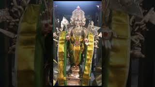 Nimmadhi Thanthida bakthi song song music Bakthi songMurugan song✨🦚✨🙏🏾✨💐💐 [upl. by Ayhay389]