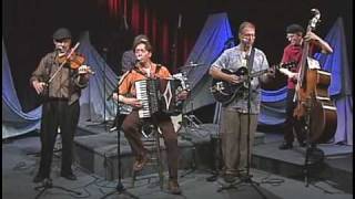 Cafe Accordion Orchestra  Dancing on the Moon [upl. by Aititil482]