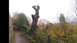 Explore Exeter Castle Exeter Devon England [upl. by Enirehtacyram]