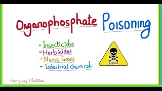 organophosphate poisoning  symptoms emergency management [upl. by Dygal814]