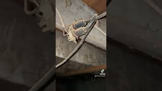 Garage Marijuana Grow Electrical electrical safetyfirst portland jerryrigeverything [upl. by Nileve]