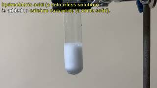 Hydrochloric acid is added to Calcium carbonate [upl. by Neehcas]