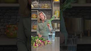 Lisianthus care tips by Gill how to cut Lisianthus in the right way lisianthus care flowers [upl. by Ahron228]